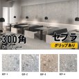 画像1: 【ケース販売】300角 セプラ (1)