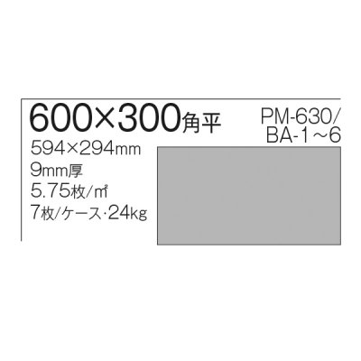 画像2: 【枚数販売】300角 バカロ 